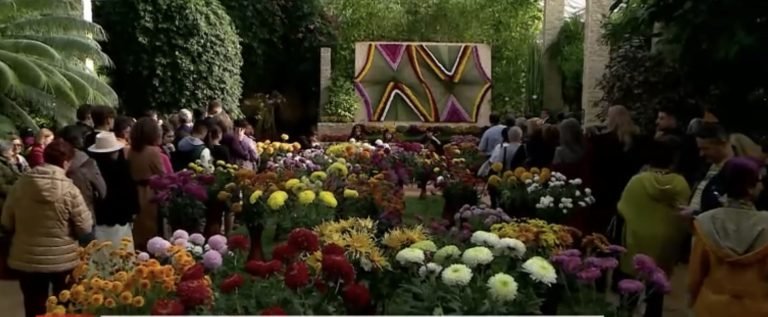 Expozitia « Flori de toamnă » la Iași